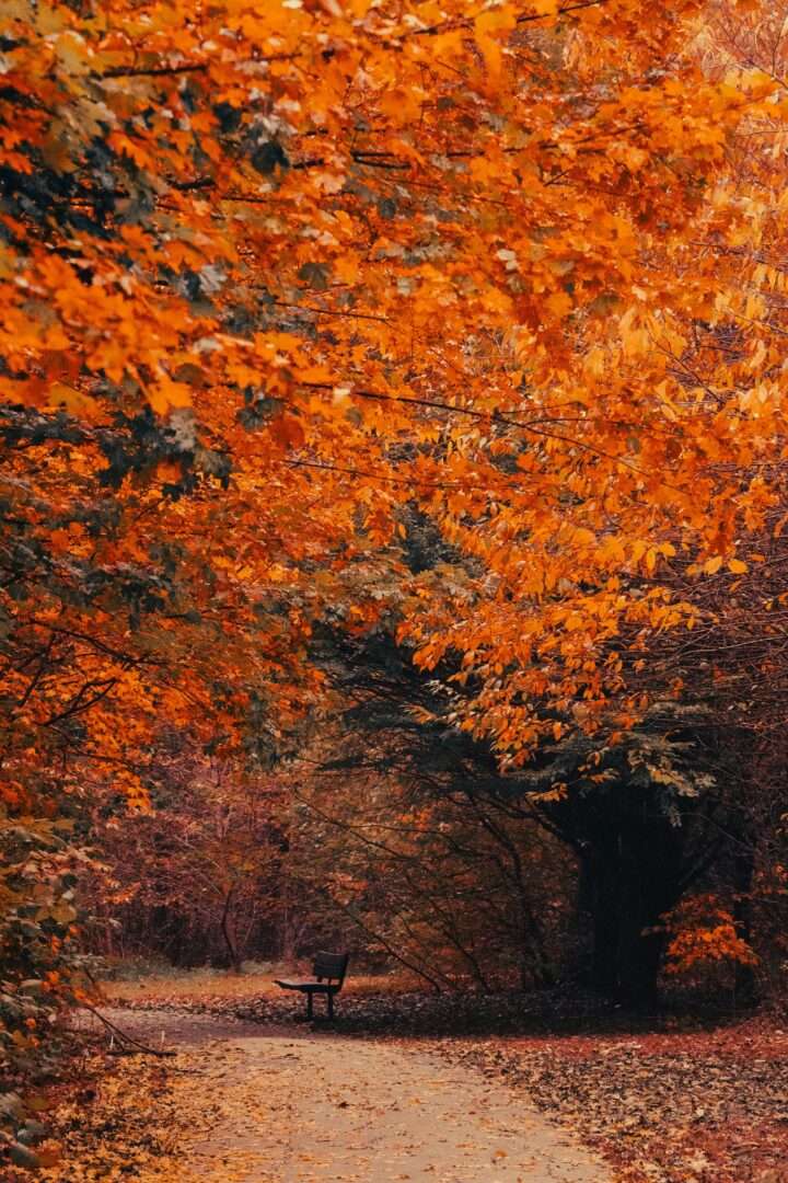 Autumn in Belgrade